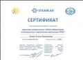 Сертификат участника Всероссийского вебинара "Детская универсальная STEM-лаборатория: инновационные перспективы реализации ФГОС",2019г. Сертификат участника Всероссийского вебинара "Детская универсальная STEM-лаборатория: инновационные перспективы реализации ФГОС",2019г.