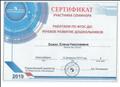 Сертификат участника семинара "Работаем по ФГОС ДО: речевое развитие дошкольников, 12.02.2019г. Сертификат участника семинара "Работаем по ФГОС ДО: речевое развитие дошкольников, 12.02.2019г.